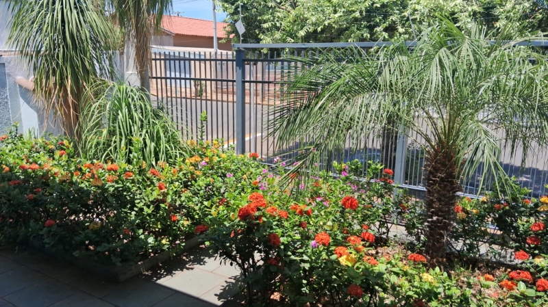 Galeria limpeza-do-jardim-adefipe